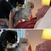 С���µ���è�������֣������������ˡ������㼵�ʵ����Ӻÿɰ���