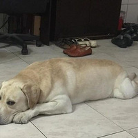 �Թ�һ�ε���󣬹�����Ϊÿ��ͣ��������ǹ����չ�����