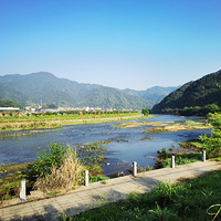 ���¾�����������