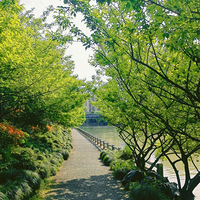 ����������ֱ�Ӻ���������ֽ����Ƿ���У���Ҫע��Щʲô��