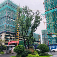 ����˵�����͸ϳ��껨������ʧ������ĸ����ǣ����������