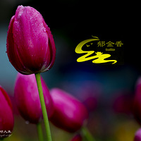 �����㣨2��