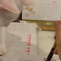 ������rua�·�������Сè��ȴ������ȥ����ʾ�ƣ�Ұè������