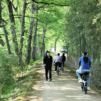 �ɾ�ӡ����ɫ����ƪ���ϣ�