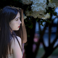 �������껨���ƣ����������˲�ͬ