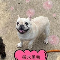 �������������Σ�ԭ���ǡ���ƨ̫������