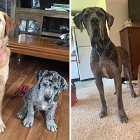 ���˵���������������ʧ�������ڹ���ͷ�ϵ����֣��ܺ��ʣ�