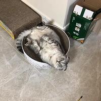 è���޳�����