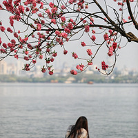 ����С��