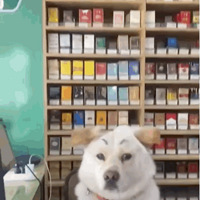 �����ϰ�һ������������������ �����������ƽ�棬һ������