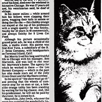 ��˵��è�����ˣ���ȴ˵��������50����������죡��