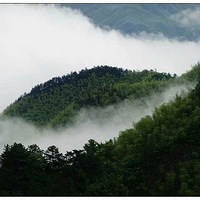 ����ɽ��