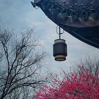 ��Ϫ�������ֻ�����