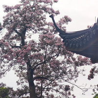 �߹����[��