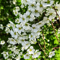 ɳ�������ꡢ��ɹ��ת��̫��