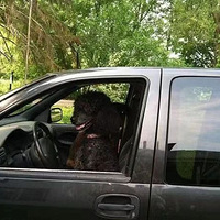 �������¹ʳ�ȫ��С�ڹ������������ĵط��������ˡ������ȥ�˺�