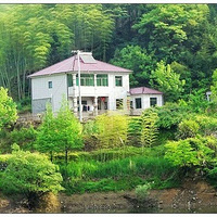 ���������е�ũ�ӷ�