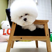 ����ƾ��Ӱ�ȷ�ȫ����һתͷ������ɵ�ۣ���������ת��ȥ��