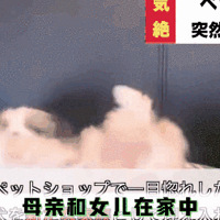 ���˹����ſڷ��תȦ������ע�⣬���ӳ����󾪴����ҿ�ȥ����һ