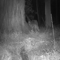 һֻ������ȫ��99.9%���ͽ����ˣ��������ꡭ������Ƭ����