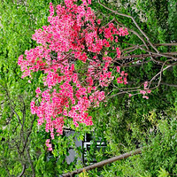 ��ů����һһ�������غ�