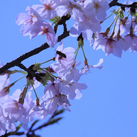 �ʹ���˵�ټ���