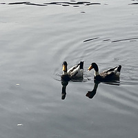 �����ڣ����µ�