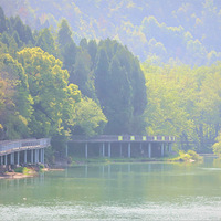 �ɾ�ӡ�󡪡��̵�