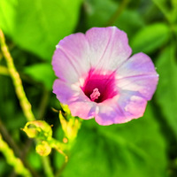 �ļ�Խ��Խ��