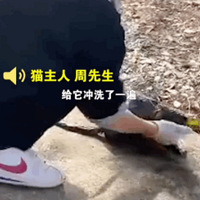 è���ˣ����˲�㼱�ޡ�����ڷ���￴��һ˫�޹��Ҿ�������Ĵ�