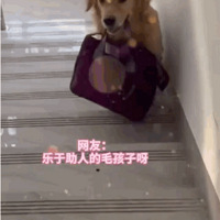 ���Ӷ�·��̫����ҡ����β�ͣ����˿��������ֺõ���������Ǯ����