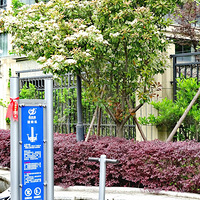 ������·�ߴ�ɫ