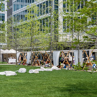 ������Ŀɽ���ɽ�Ӽ����Ҳ衱�м�