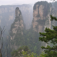 �żҽ�羰��������