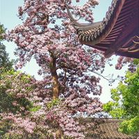 ��ٶ�������������