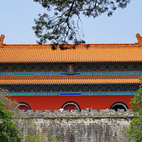 �Ͼ�--��Т��