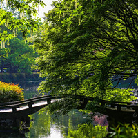 ����Ѱ��