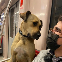 ������ʺ���ٱ��󣬹�����ȫ������������˵�еĹ�ʺ�ˣ�