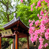 ӳɽ�쿪������ɽ�ջ۷�  2023.04.17