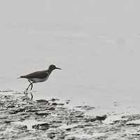 ���ߵ�����