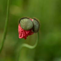 �����ˡ�