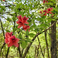 ɽ�������ˡ���ɽ����ףӢ̨��