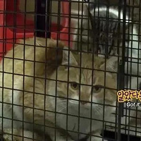 è��͵�㱻��Ҵ��������������������ծ��