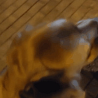 ����ҧסһ��״���岻�ɿڣ������˿����ſޣ������ҧ���ÿ��ɿ�