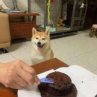 ������ɹ��Ƥ�ݵ�ʱ�򣬰Ѽ���Ĳ�Ȯ�����˹�������