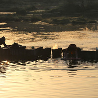 �ɾ�ӡ����Ϫ���糿