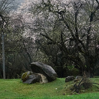 �һ����͸��ʺ�