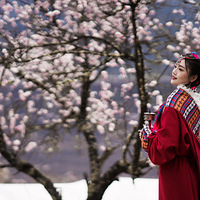 ���ɴ����һ��Ĳ���Ů��