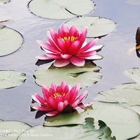 �����˯��������