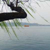 �������������